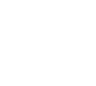 RZ Financials Logo